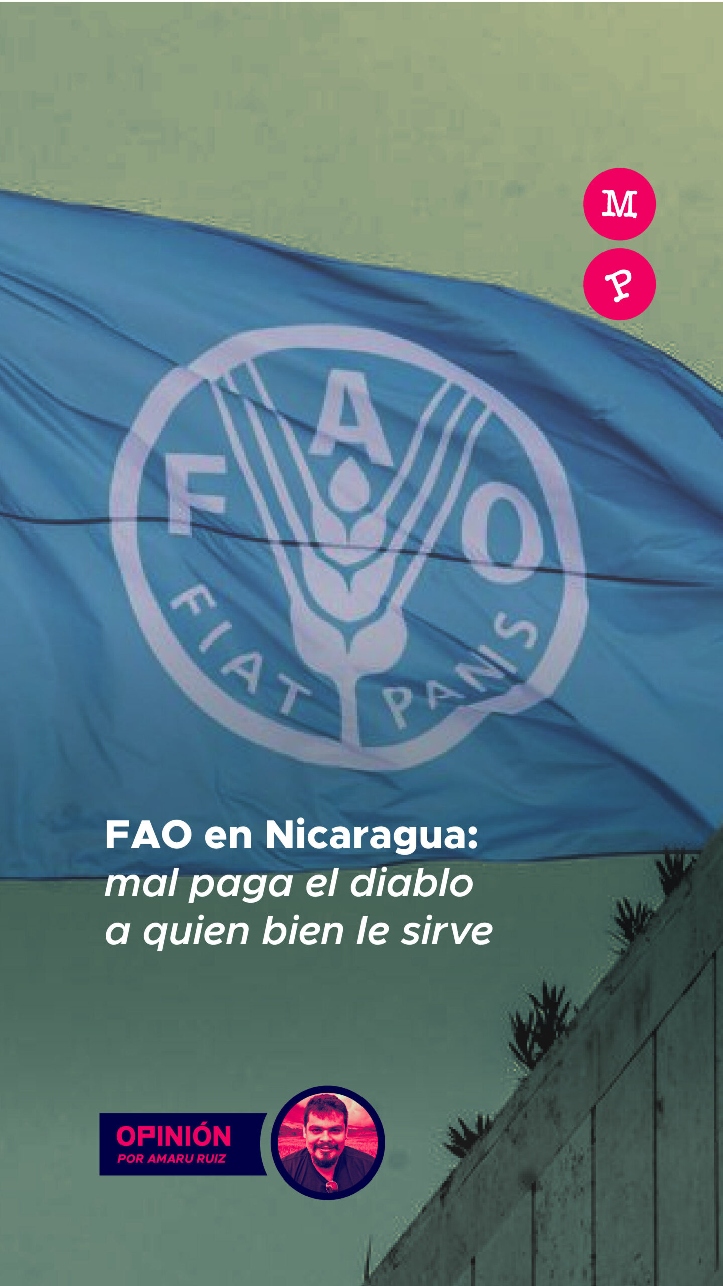 Lee más sobre el artículo FAO en Nicaragua: mal paga el diablo a quien bien le sirve 